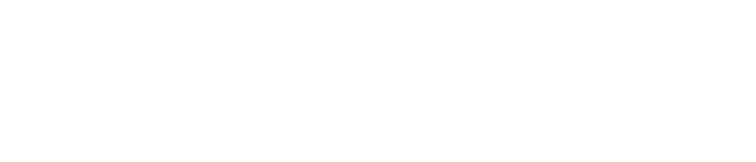 Stat Sports logo